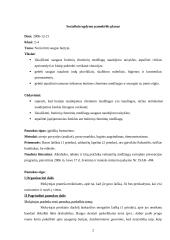 Socialinio ugdymo pamokėlės planas: Noriu būti saugus buityje 2 puslapis