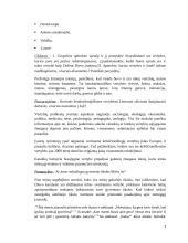 Tikybos pamokos planas-konspektas 3 puslapis