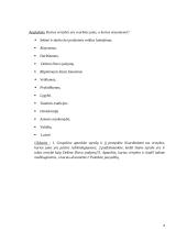 Tikybos pamokos planas-konspektas 6 puslapis