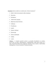 Tikybos pamokos planas-konspektas 7 puslapis