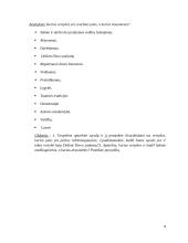 Tikybos pamokos planas-konspektas 8 puslapis