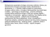 Algirdas Julius Greimas 9 puslapis