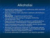 Alkoholio vartojimas kasdienybėje 2 puslapis