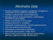 Alkoholio vartojimas kasdienybėje 5 puslapis