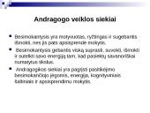 Andragogikos ištakos 14 puslapis