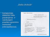 Antano Škėmos biografija ir kūryba 15 puslapis