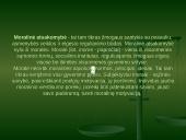 Atsakomybė 5 puslapis