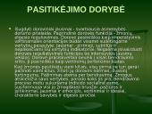 Atsakomybė 10 puslapis