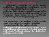 Auditoriaus etika 13 puslapis