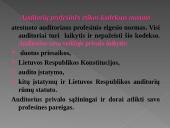 Auditoriaus etika 3 puslapis