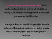 Auditoriaus etika 8 puslapis