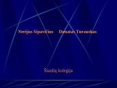 Automobilio apsauga nuo korozijos autoservisuose 2 puslapis