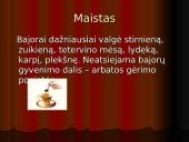 Bajorų laisvalaikis 15 puslapis