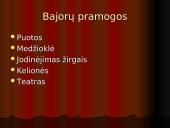 Bajorų laisvalaikis 4 puslapis