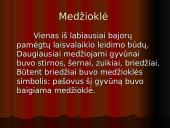 Bajorų laisvalaikis 8 puslapis