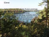 Baltijos šalių gamta 12 puslapis