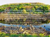 Baltijos šalių gamta 14 puslapis