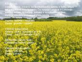 Baltijos šalių gamta 3 puslapis