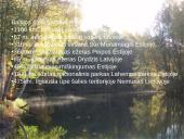 Baltijos šalių gamta 4 puslapis