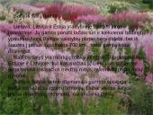 Baltijos šalių gamta 5 puslapis