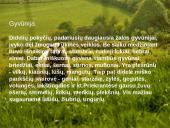 Baltijos šalių gamta 6 puslapis