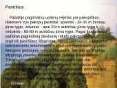 Baltijos šalių gamta 7 puslapis