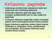 Bendrosios kirčiavimo taisyklės ir jų taikymas 2 puslapis