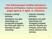 Bendrosios kirčiavimo taisyklės ir jų taikymas 13 puslapis