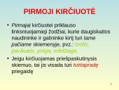 Bendrosios kirčiavimo taisyklės ir jų taikymas 14 puslapis