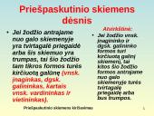 Bendrosios kirčiavimo taisyklės ir jų taikymas 9 puslapis