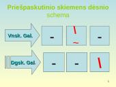 Bendrosios kirčiavimo taisyklės ir jų taikymas 10 puslapis