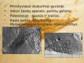 Bežandžiai (agnatha) 2 puslapis