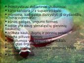 Bežandžiai (agnatha) 11 puslapis