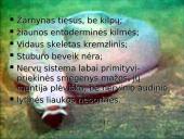 Bežandžiai (agnatha) 12 puslapis