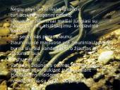 Bežandžiai (agnatha) 14 puslapis