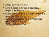 Bežandžiai (agnatha) 3 puslapis