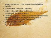 Bežandžiai (agnatha) 5 puslapis