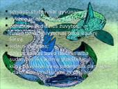 Bežandžiai (agnatha) 7 puslapis