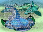 Bežandžiai (agnatha) 8 puslapis