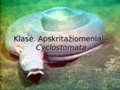 Bežandžiai (agnatha) 10 puslapis