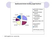 Būsto paskolų draudimas Lietuvoje 14 puslapis