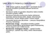 Būsto paskolų draudimas Lietuvoje 3 puslapis