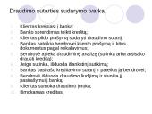 Būsto paskolų draudimas Lietuvoje 9 puslapis