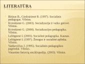 Paauglių deviantinio elgesio samprata 12 puslapis