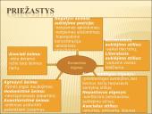 Paauglių deviantinio elgesio samprata 6 puslapis