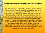 Dirvožemis ir žmogus 17 puslapis