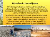 Dirvožemis ir žmogus 19 puslapis