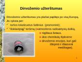 Dirvožemis ir žmogus 9 puslapis