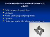 Diskinė stabdžių sistema 8 puslapis