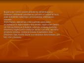 Dokumentų apyvartos organizavimas 10 puslapis